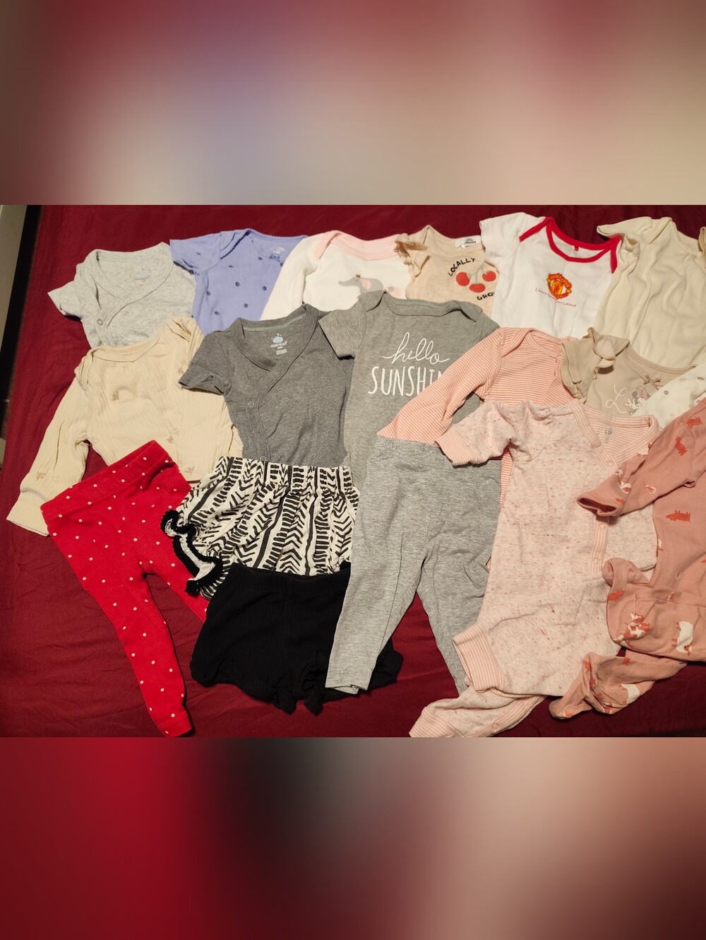 Baby Girl Clothes Lot (3-6 Months) - 22 Pieces